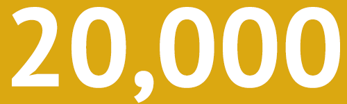 20,000